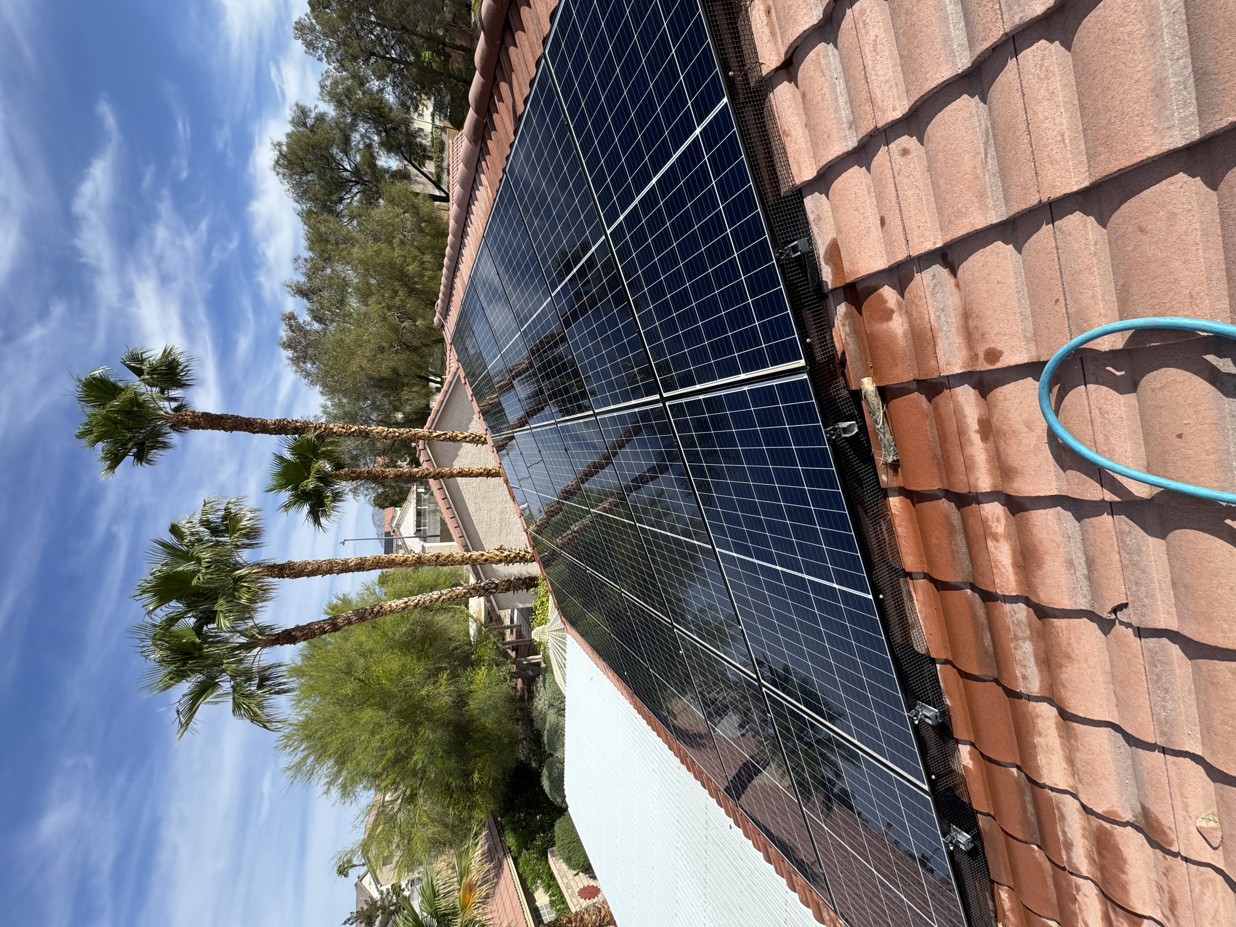 Professionally cleaned residential solar panels gleaming in Las Vegas sunlight with palm trees in the background